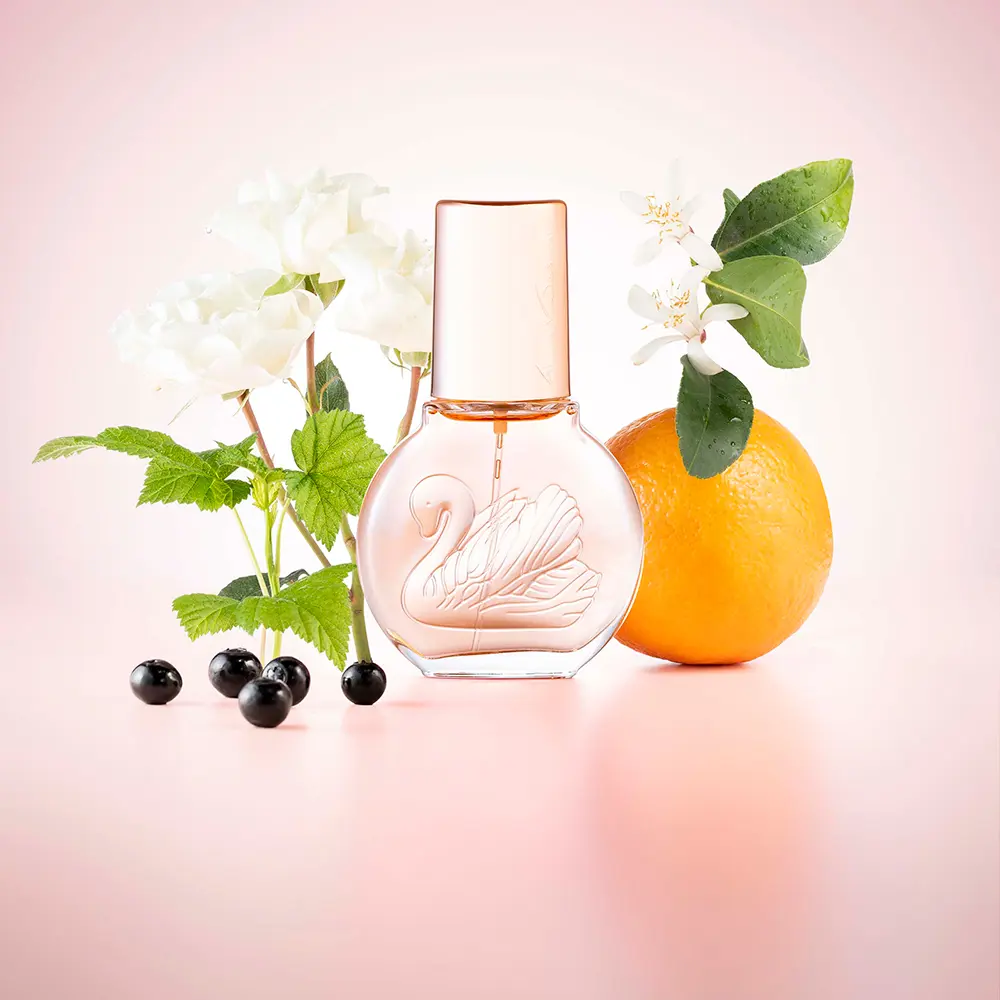 <span class="notranslate">VANDERBILT MISS VANDERBILT</span> edt vapo 100 ml for Women <span class="notranslate">VANDERBILT MISS VANDERBILT</span> edt vapo 100 ml for Women - Image 3