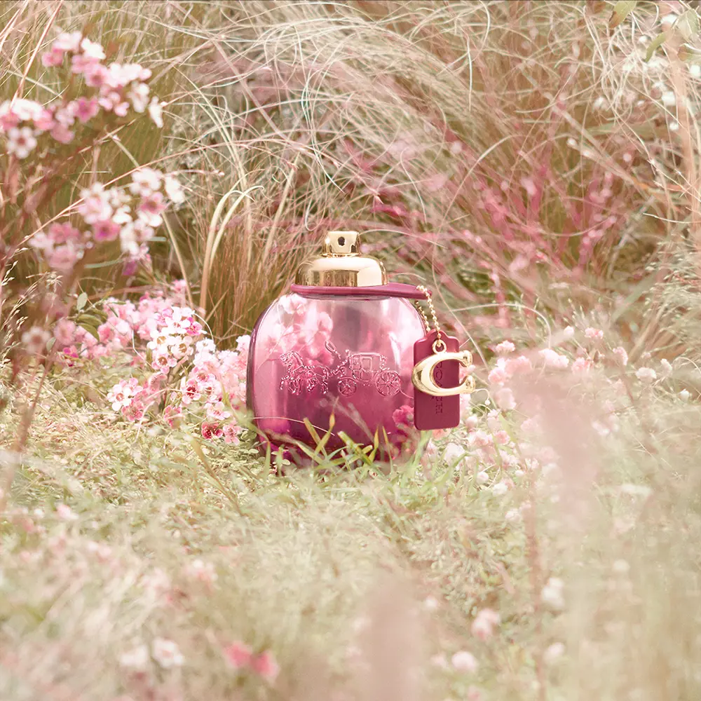 <span class="notranslate">COACH COACH WILD ROSE</span> edp vapo 90 ml for Women <span class="notranslate">COACH COACH WILD ROSE</span> edp vapo 90 ml for Women - Image 4