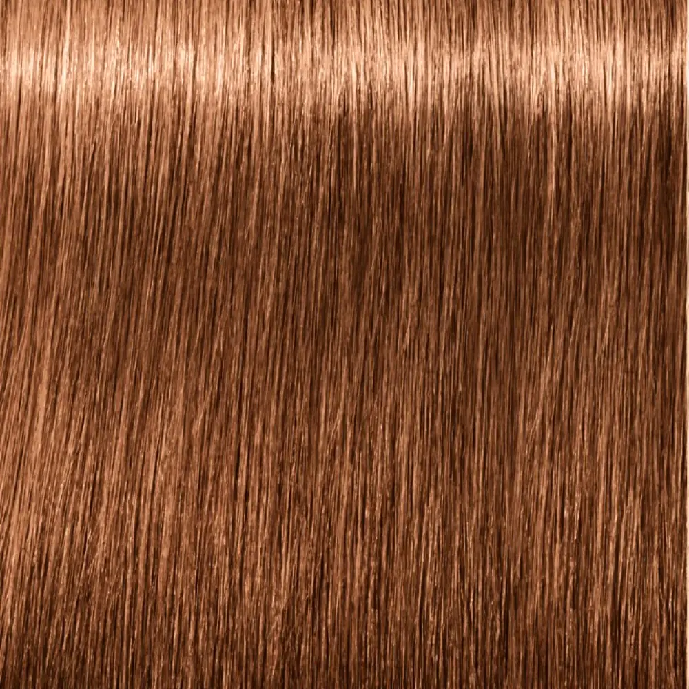 SCHWARZKOPF IGORA ROYAL #7-65