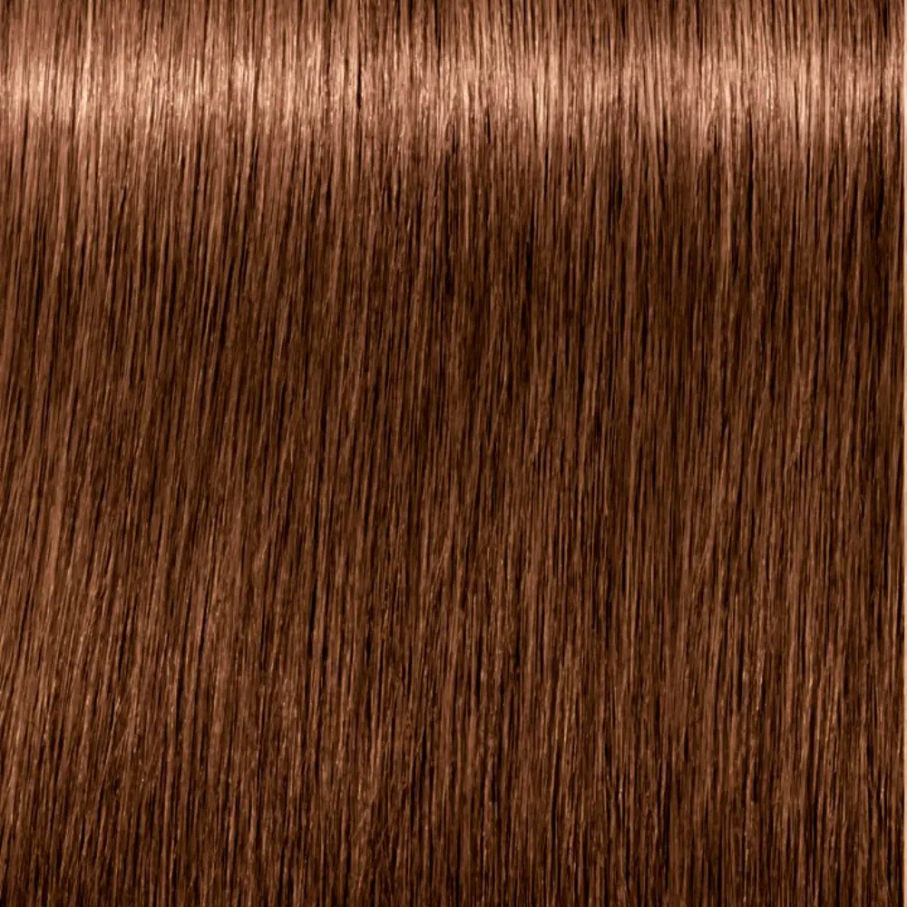 SCHWARZKOPF IGORA ROYAL #6-65
