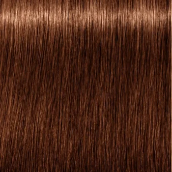 SCHWARZKOPF IGORA ROYAL ABSOLUTES #6-60