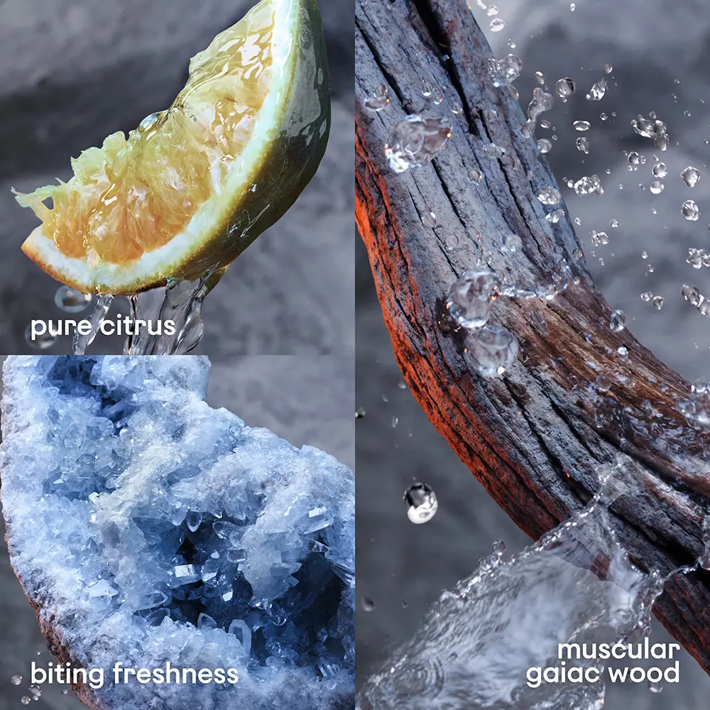 PACO RABANNE INVICTUS deodorant stick 75 ml