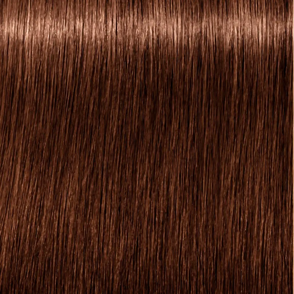 SCHWARZKOPF IGORA ROYAL #6-6