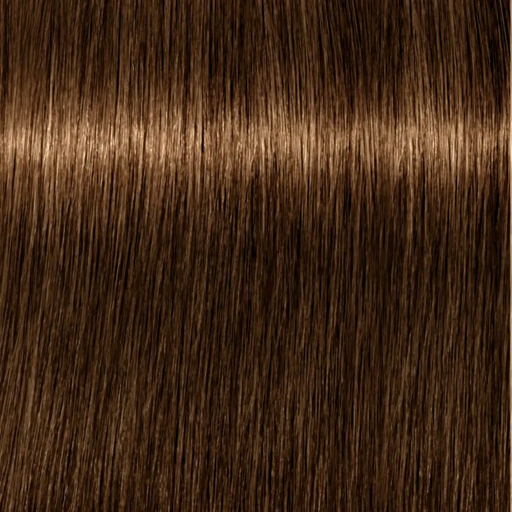 SCHWARZKOPF IGORA ROYAL 6-4 beige dark blonde SCHWARZKOPF IGORA ROYAL 6-4 beige dark blonde