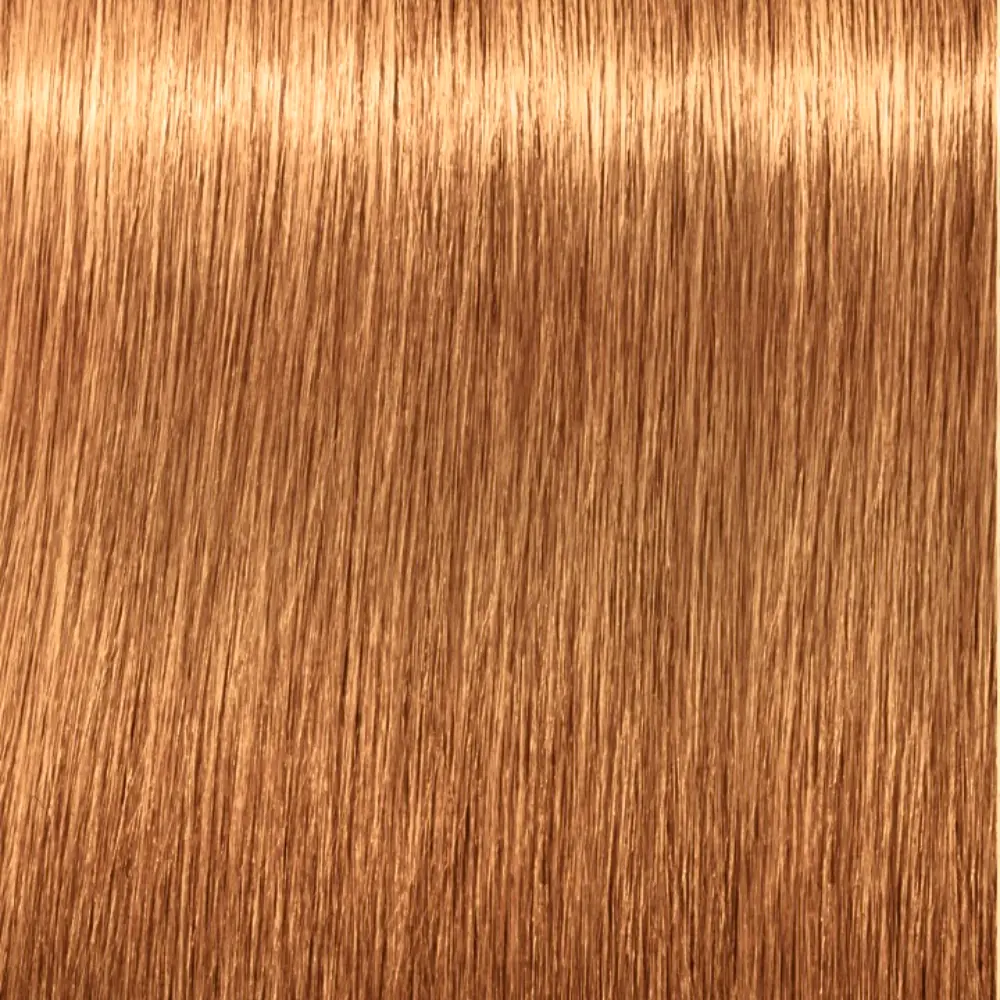 SCHWARZKOPF IGORA ROYAL ABSOLUTES #9-60