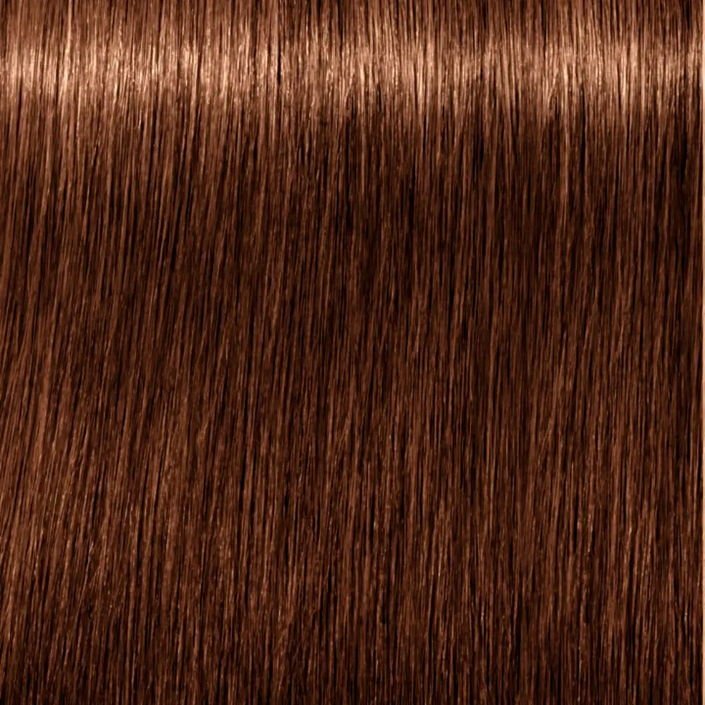 SCHWARZKOPF IGORA ROYAL ABSOLUTES 7-60 60 ml SCHWARZKOPF IGORA ROYAL ABSOLUTES 7-60 60 ml