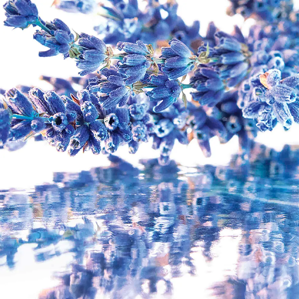 GUERLAIN MON GUERLAIN eau de parfum 50 ml GUERLAIN MON GUERLAIN eau de parfum 50 ml - Image 3