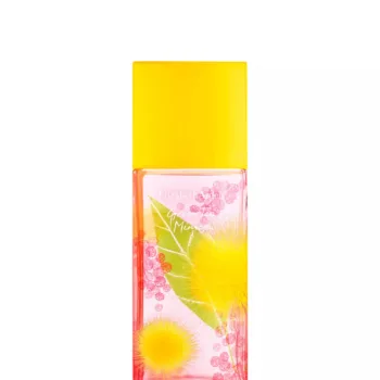 ELIZABETH ARDEN Grüner Tee Mimosa Eau de Toilette 100 ml für Damen
