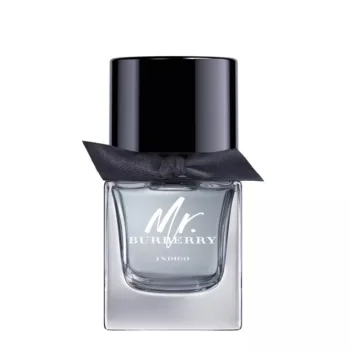 <span class="notranslate">BURBERRY MR BURBERRY INDIGO</span> eau de toilette spray 50 ml for Men