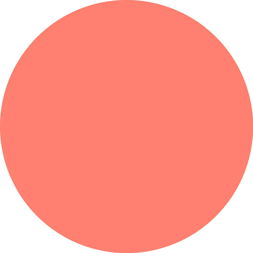 CATRICE SOFT BLUR powder blush #020-Coral Cloud 5 gr CATRICE SOFT BLUR powder blush #020-Coral Cloud 5 gr - Image 3