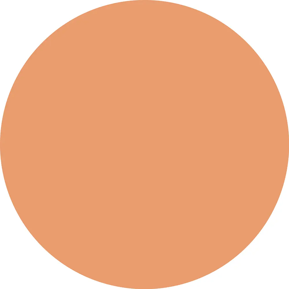 CATRICE SOFT BLUR airbrush mattifying powder #040W 10 gr CATRICE SOFT BLUR airbrush mattifying powder #040W 10 gr - Image 4