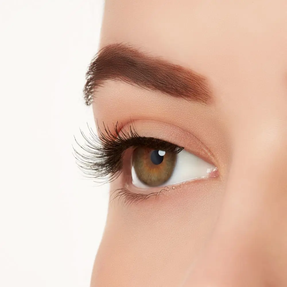 <span class="notranslate">ARDELL NATURAL</span> eyelashes #110 black 1 unit <span class="notranslate">ARDELL NATURAL</span> eyelashes #110 black 1 unit - Image 3